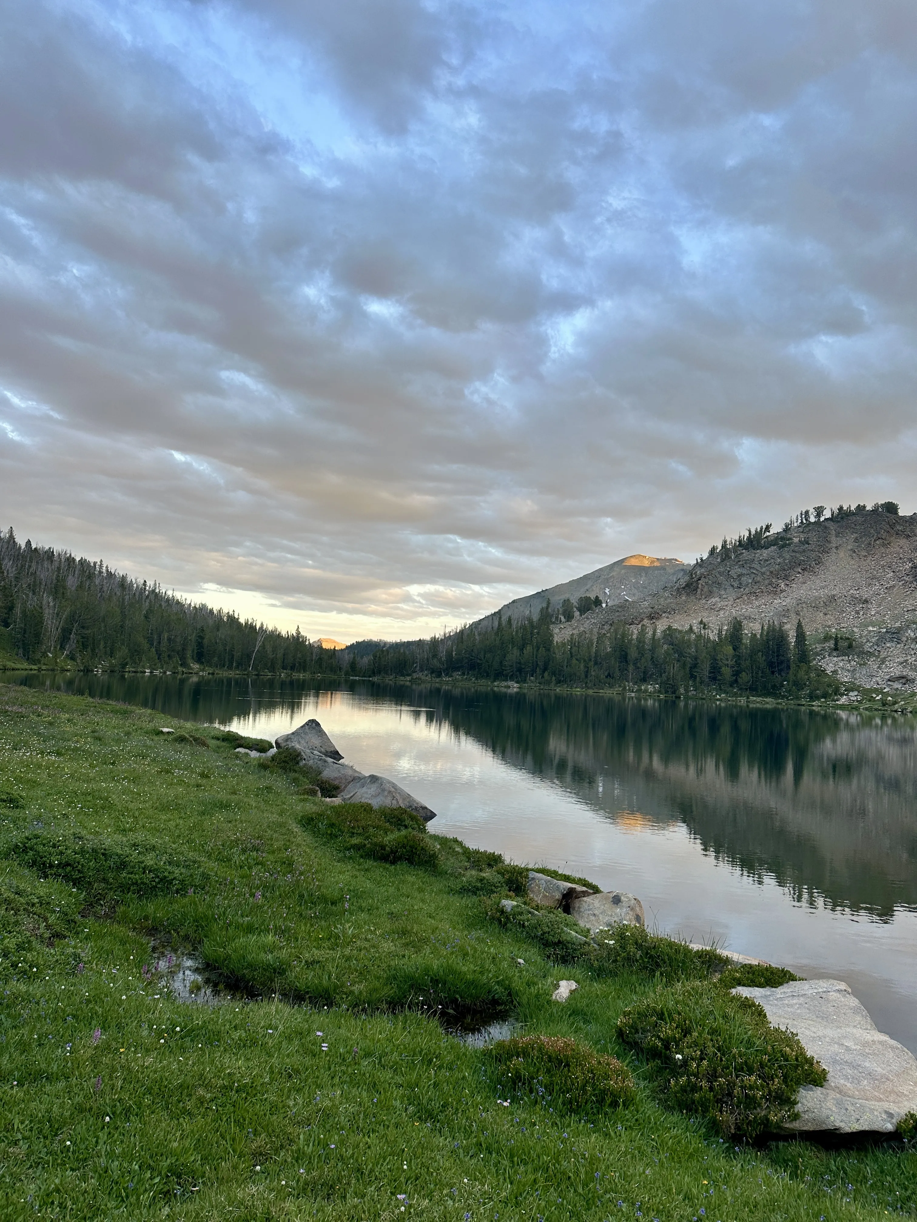 Alpine lake and wildflower meadow at golden hour