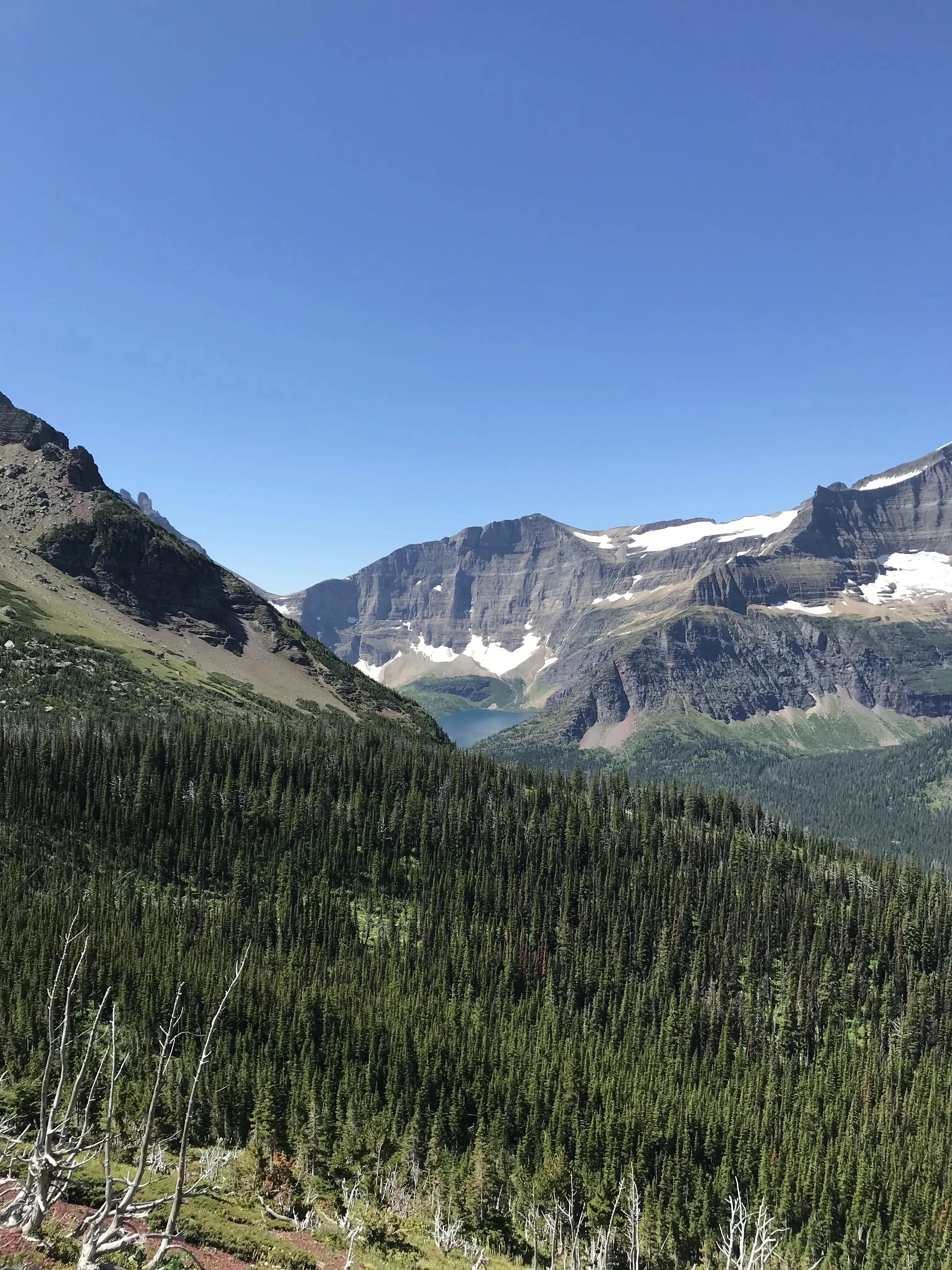 Jagged glacier peaks above an alpine lake and forest